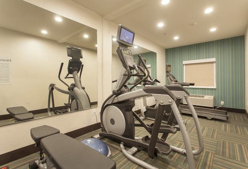 酒店 Holiday Inn Express & Suites