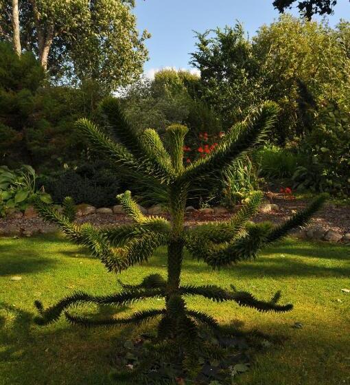 Отель Home Farm Bed And Breakfast