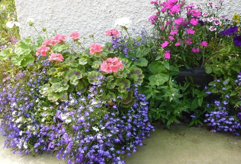 Отель Home Farm Bed And Breakfast