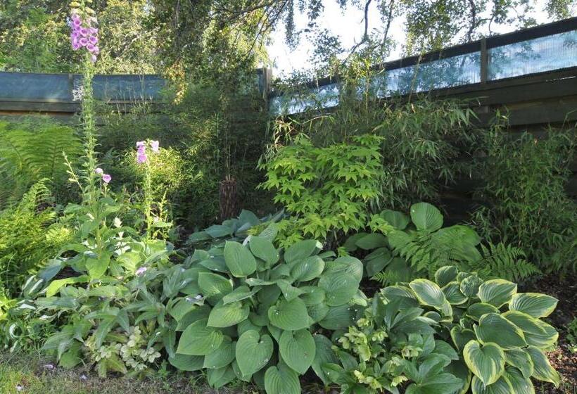 Отель Home Farm Bed And Breakfast