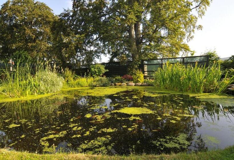 Отель Home Farm Bed And Breakfast