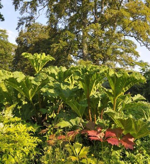 Отель Home Farm Bed And Breakfast