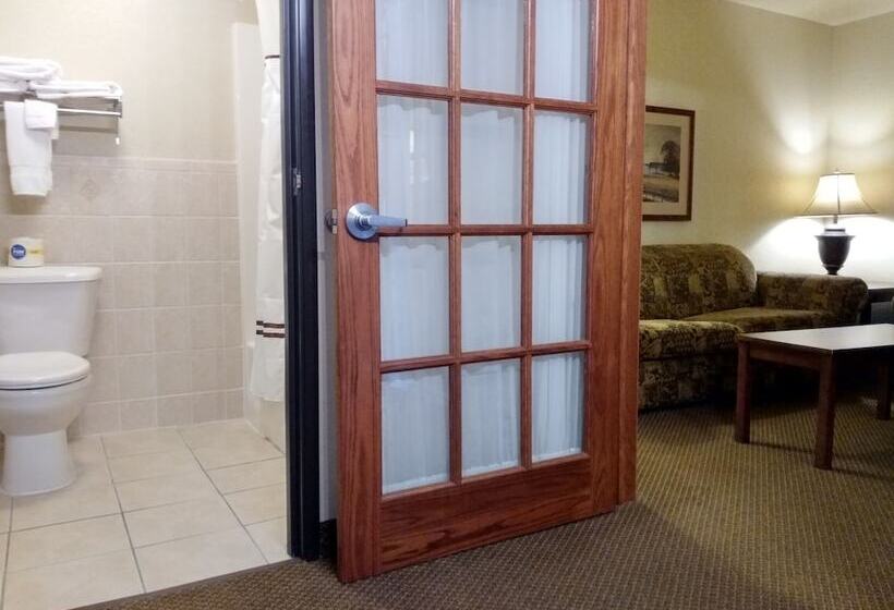 Madelia Hotel & Suites