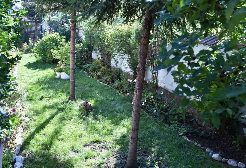 فندق Martin Club