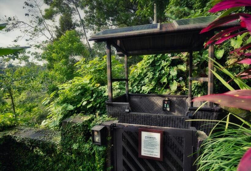 فندق Nandini Jungle By Hanging Gardens