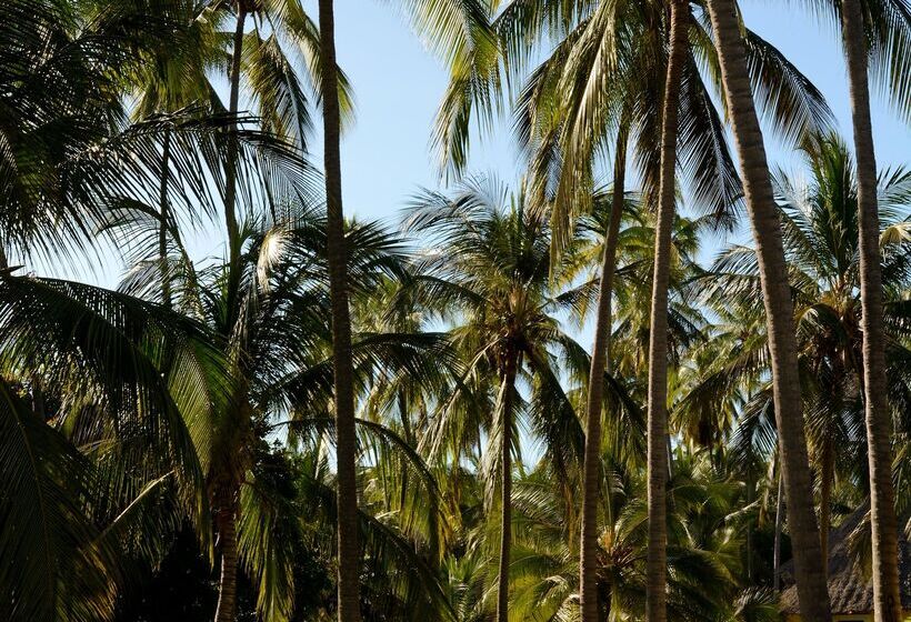 Отель Ocean Paradise Resort & Spa Zanzibar