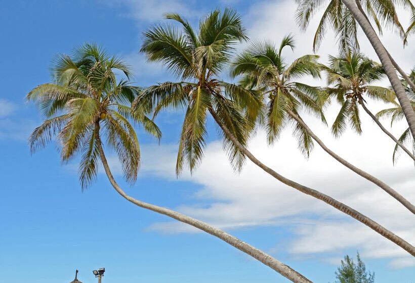 Отель Ocean Paradise Resort & Spa Zanzibar