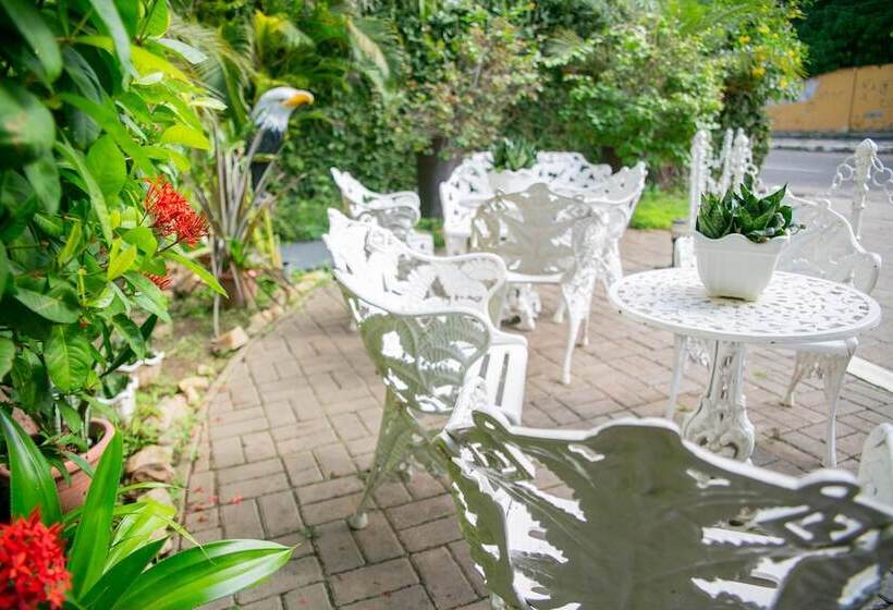 فندق Palacio Do Rio