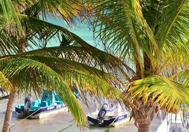 ホテル Playa Palms Beach