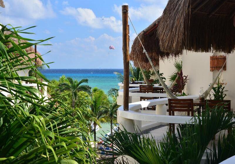 ホテル Playa Palms Beach