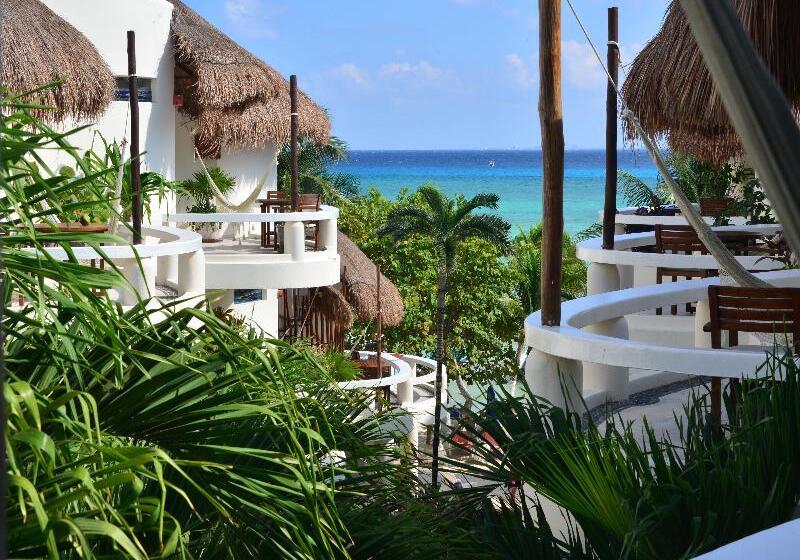 ホテル Playa Palms Beach