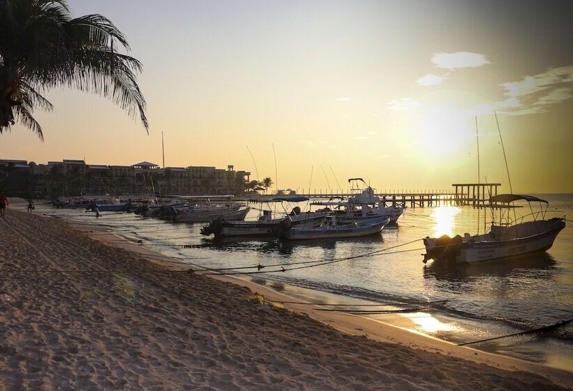 ホテル Playa Palms Beach