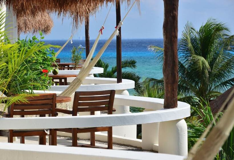 ホテル Playa Palms Beach