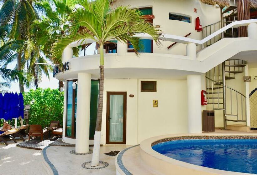 ホテル Playa Palms Beach