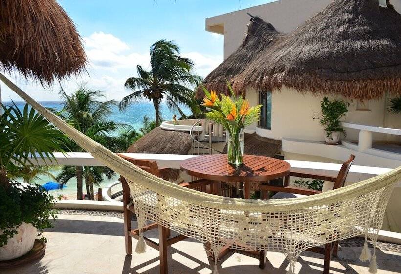 ホテル Playa Palms Beach