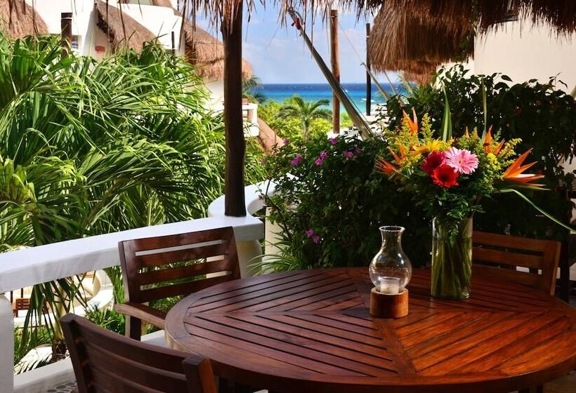 ホテル Playa Palms Beach