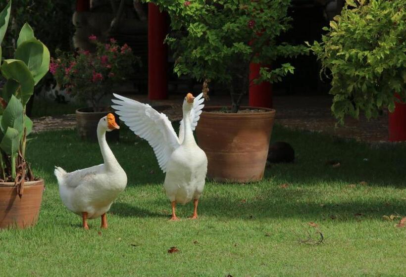 فندق Porto Preguiças Resort