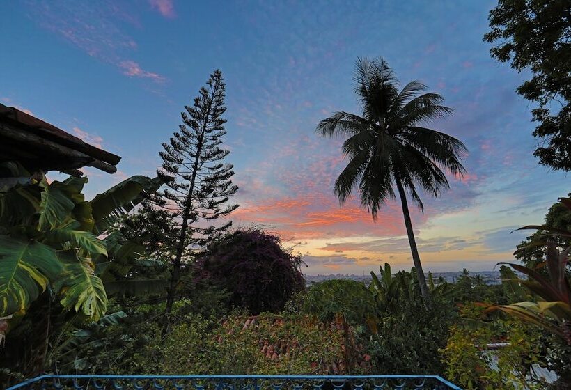 בית מלון כפרי Pousada Do Amparo