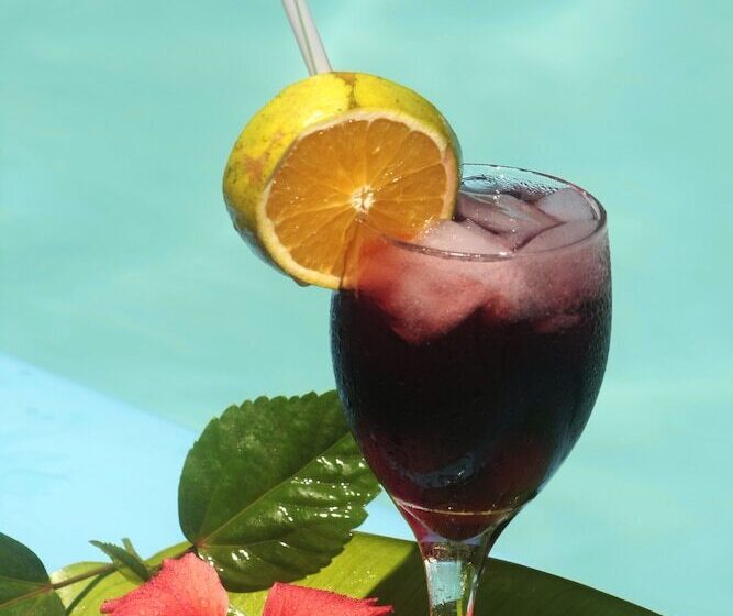 فندق Pousada Pedra Torta