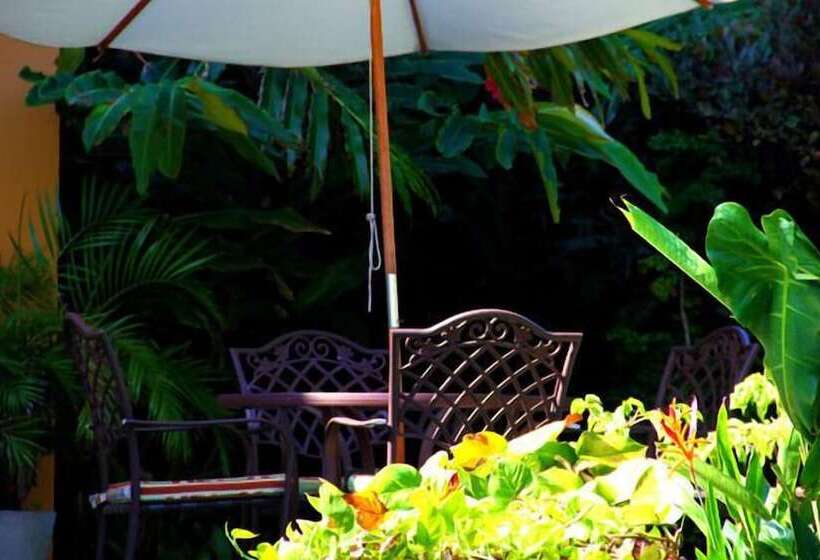 בית מלון כפרי Pousada Sao Francisco