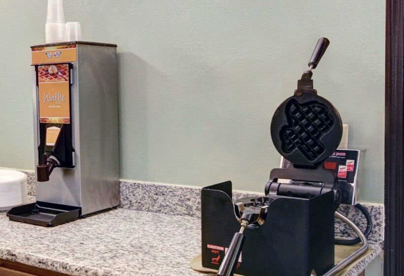 בית מלון כפרי Quality Inn & Suites Airport