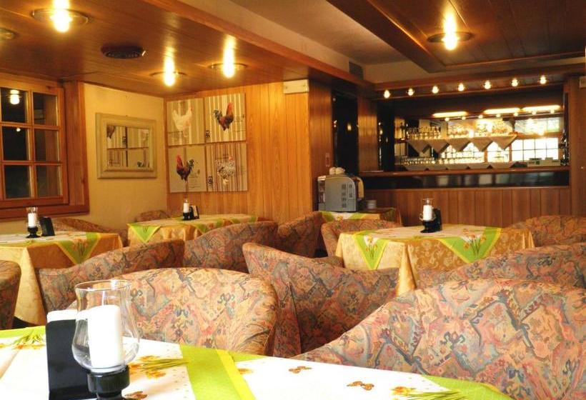 هتل R.t.a.  Des Alpes 2