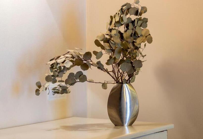 فندق ريفى Boutique Niu De Sol   Designed For Adults