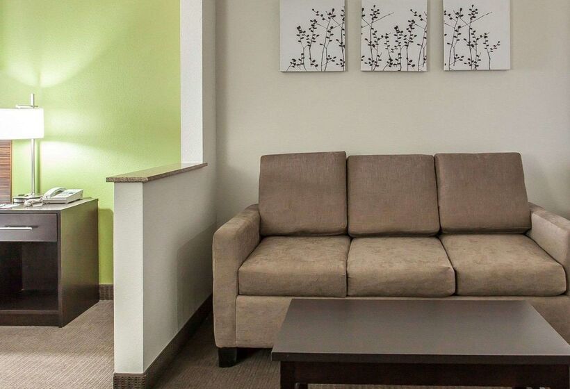 酒店 Sleep Inn & Suites Near I 90 And Ashtabula