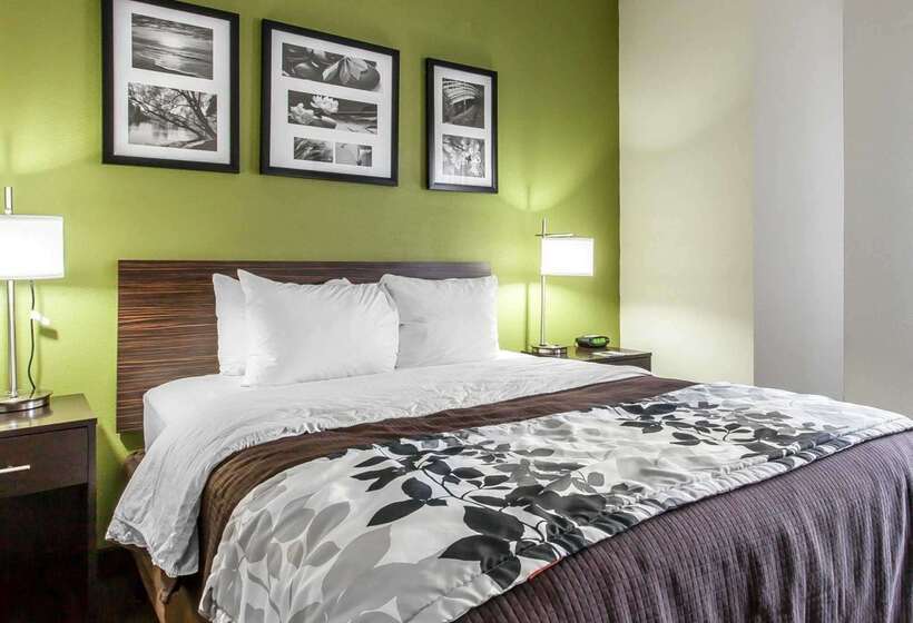 酒店 Sleep Inn & Suites Near I 90 And Ashtabula