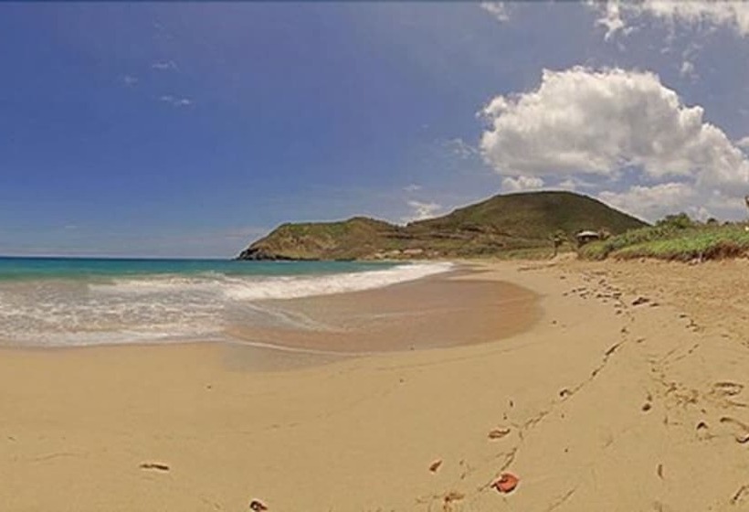 Sugar Bay Club Suites & Hotel