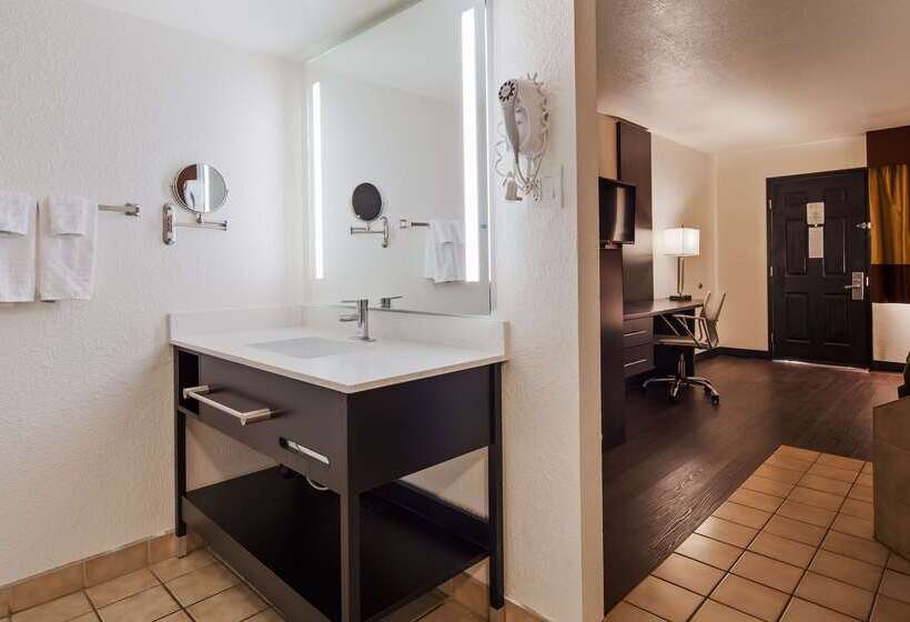 Surestay Hotel By Best Western Phoenix Airport