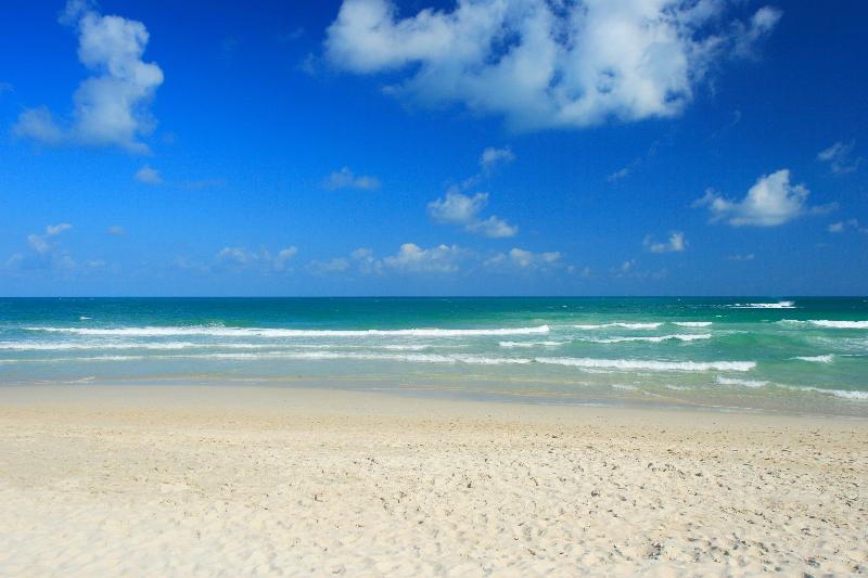 ホテル The Library