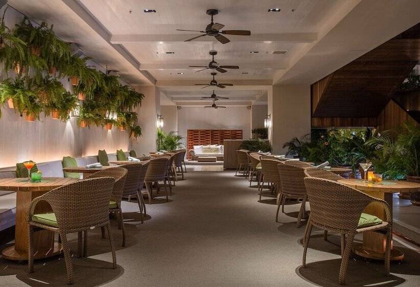 فندق Hilton Vacation Club The Modern Honolulu