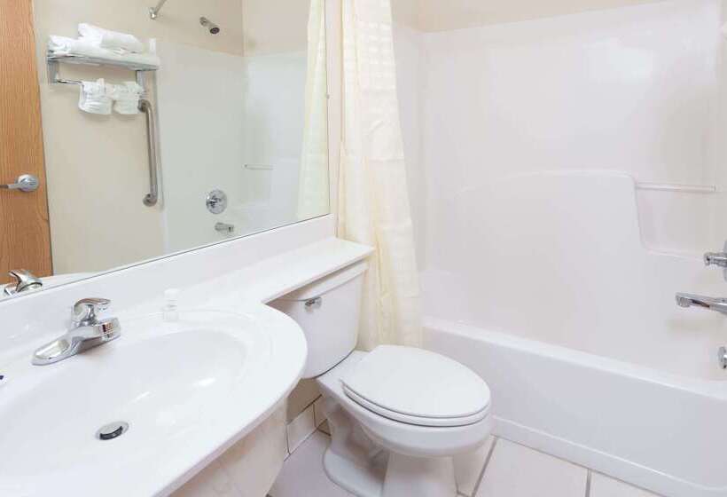 Microtel Inn & Suites By Wyndham Conyers/atlanta Area