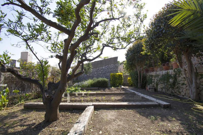 Cykler Mallorca - Hotel Can Cota