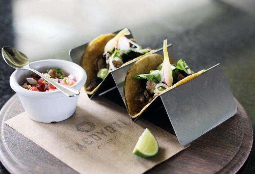 منتجع Dreams Bahia Mita Surf And Spa   All Inclusive