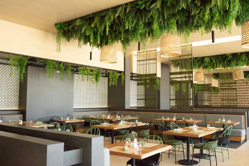 منتجع Dreams Bahia Mita Surf And Spa   All Inclusive