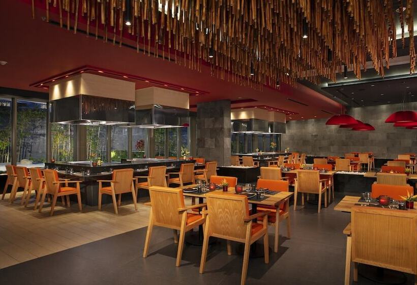 منتجع Dreams Bahia Mita Surf And Spa   All Inclusive