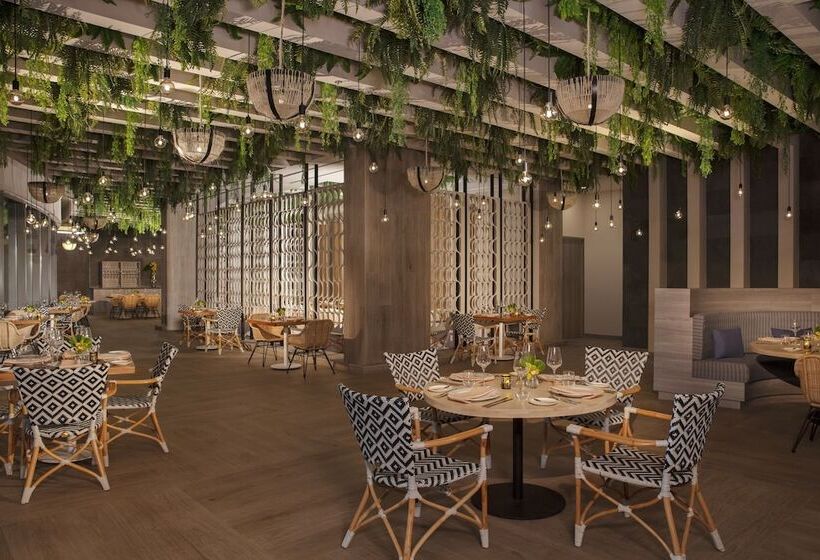 منتجع Dreams Bahia Mita Surf And Spa   All Inclusive