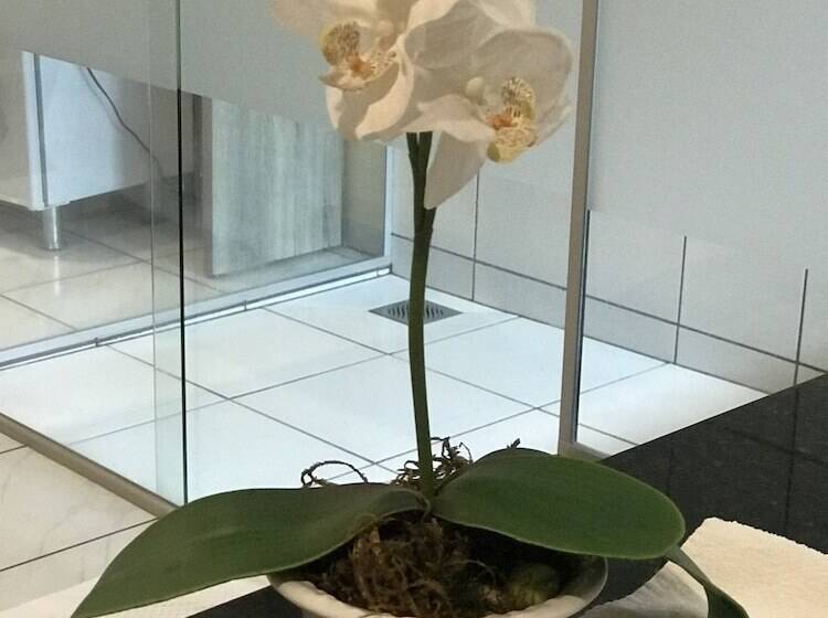 Aki Hotel E Restaurante