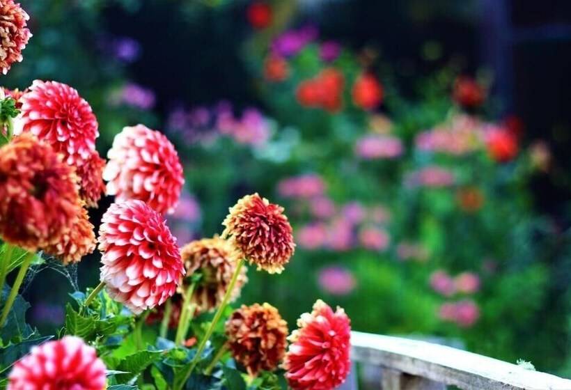 Duvauchelle Seaside Motel