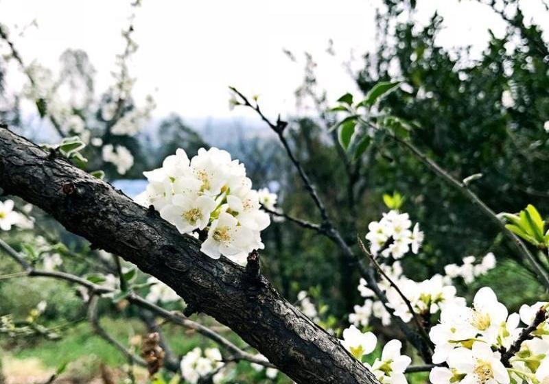 Отель 7 Days Inn Chengdu Renshou European Street