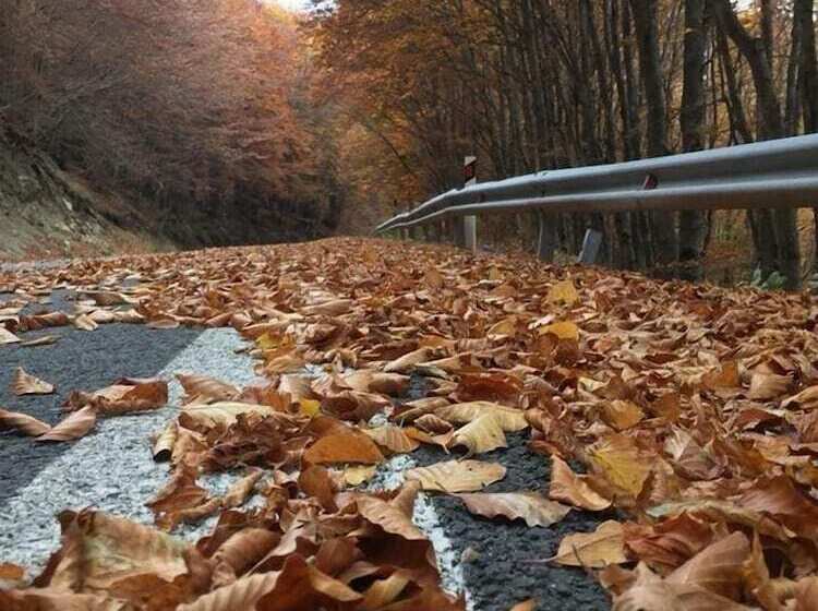 בית מלון כפרי Agios Germanos