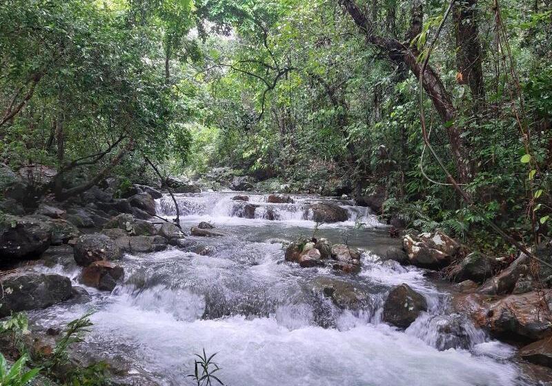 هتل Areca Bungalow