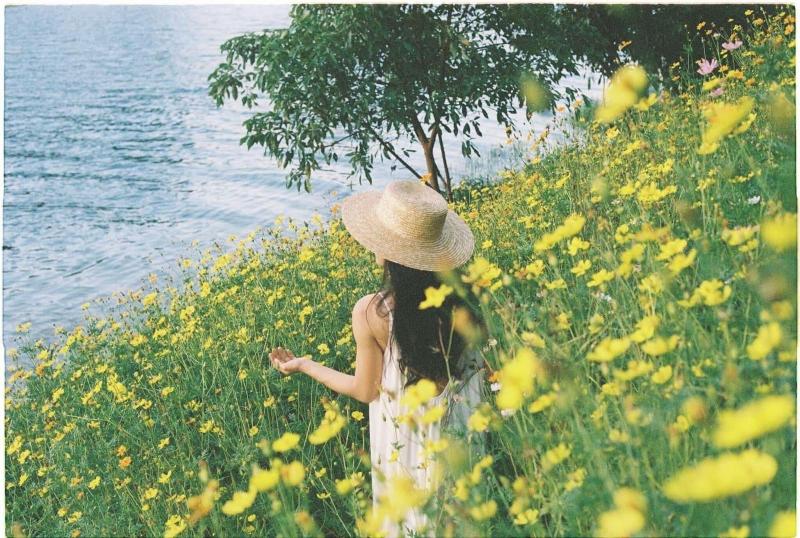 هتل Areca Bungalow