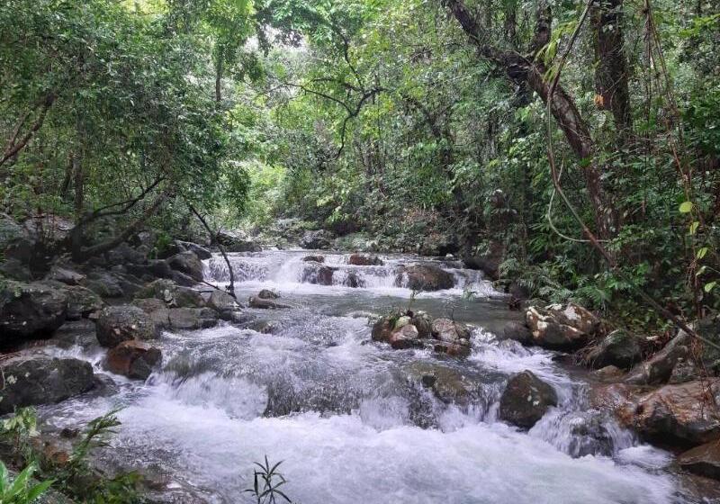 هتل Areca Bungalow