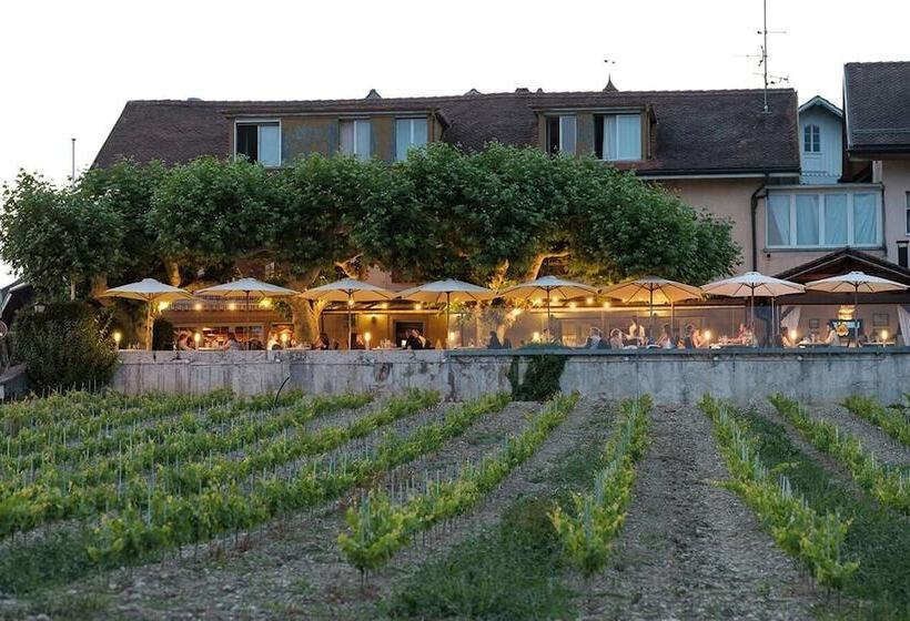 호텔 Auberge De Duillier