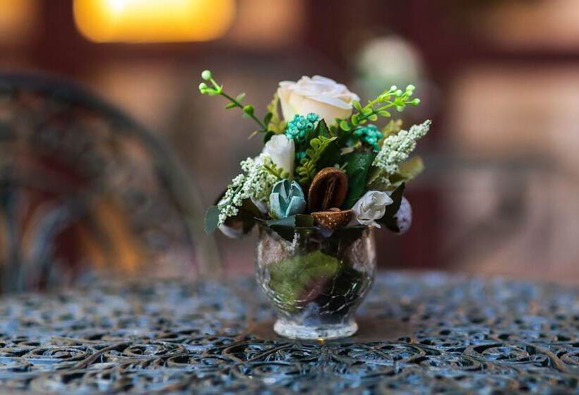 בית מלון כפרי Ave, Alba!