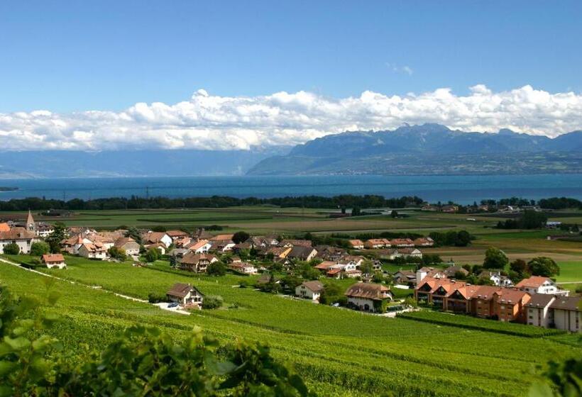 호텔 Cave Beetschen