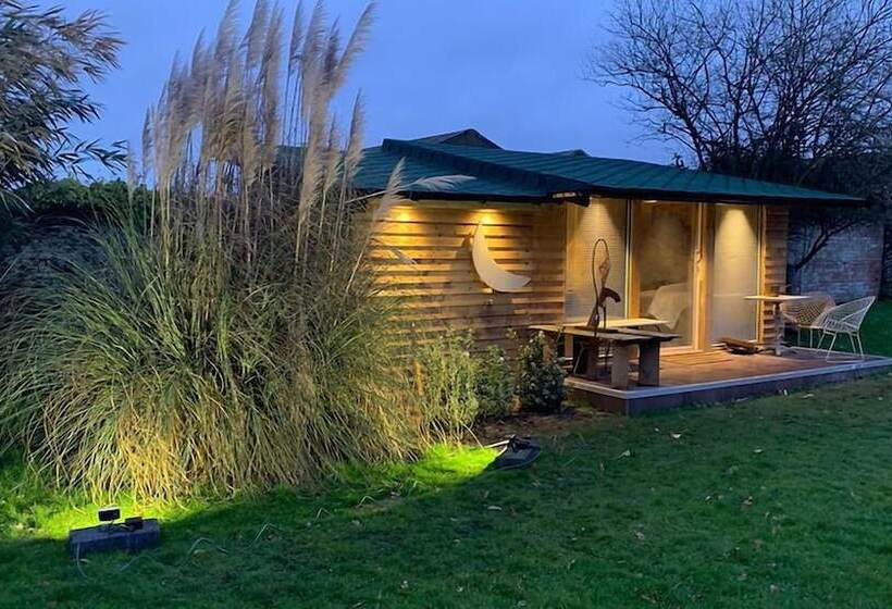 فندق Cedar House Boutique B&b